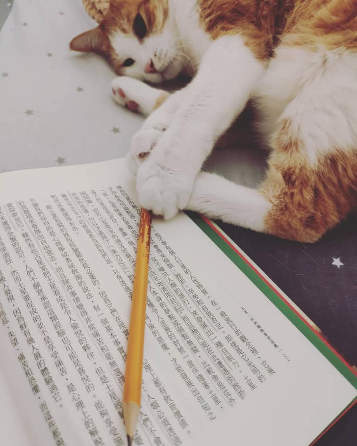 從新觀點看老惡魔土星