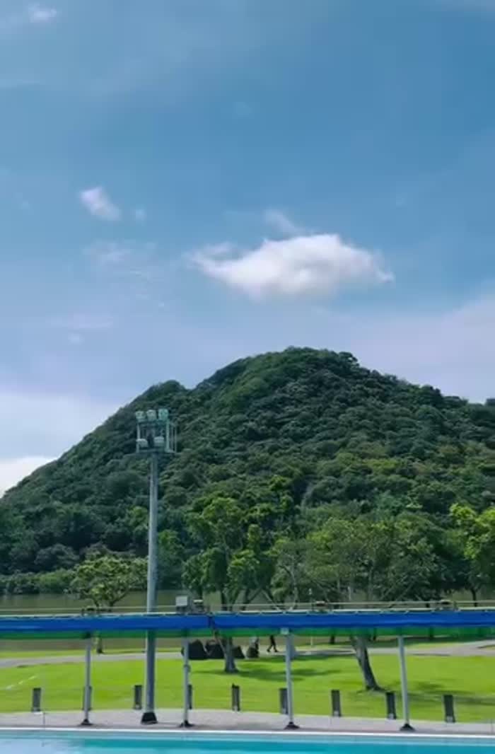 早上去大湖公園游泳時
