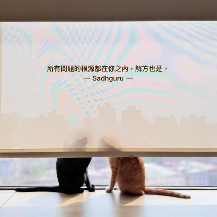 🌱關於等待