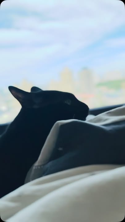每天早晨的喚醒儀式