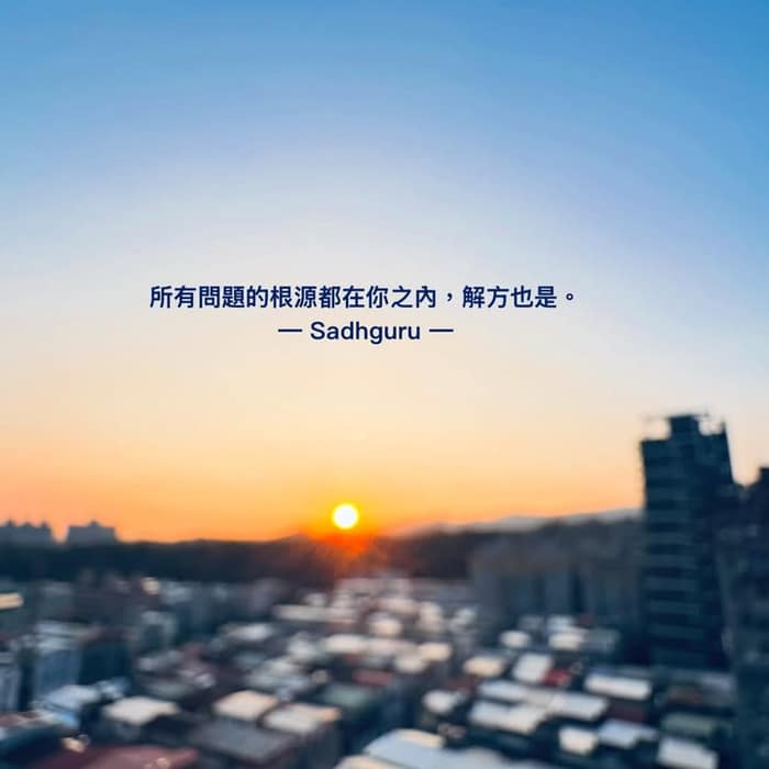🌱關於信任