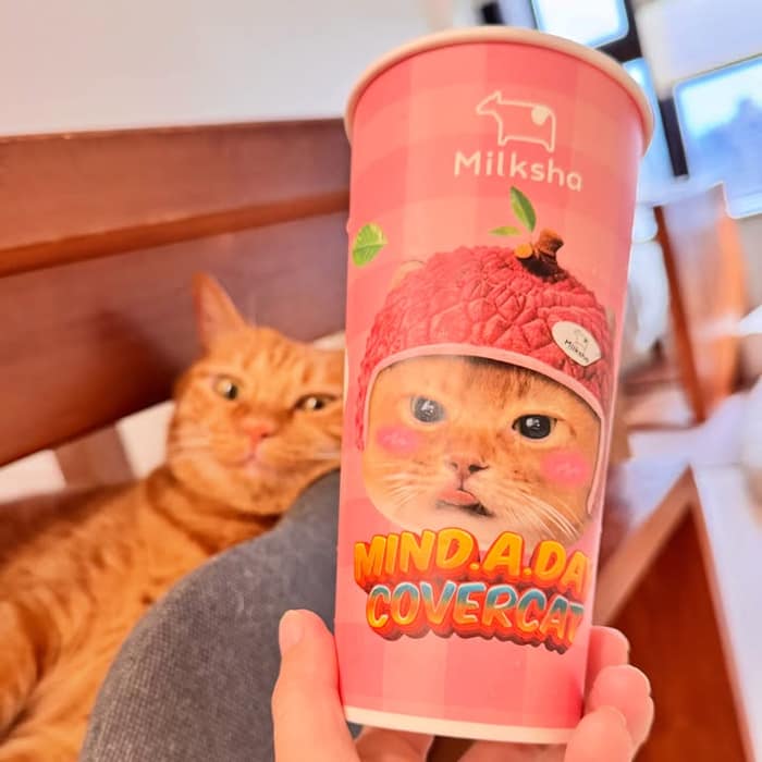 奶茶～妳啥時兼職賣飲料啦